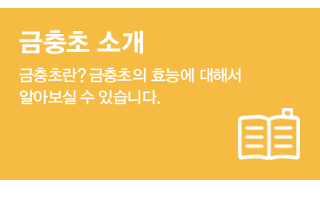 지코디 금충초